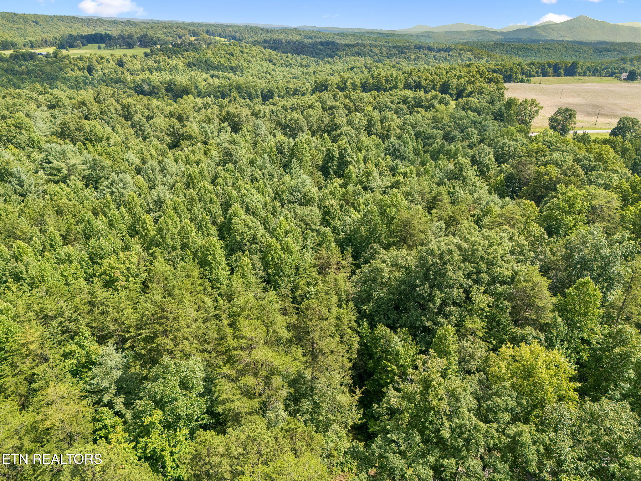 Ridge Road Lancing, TN 37770 - Photo 17 of 18 17-130 Ridge Rd - 017