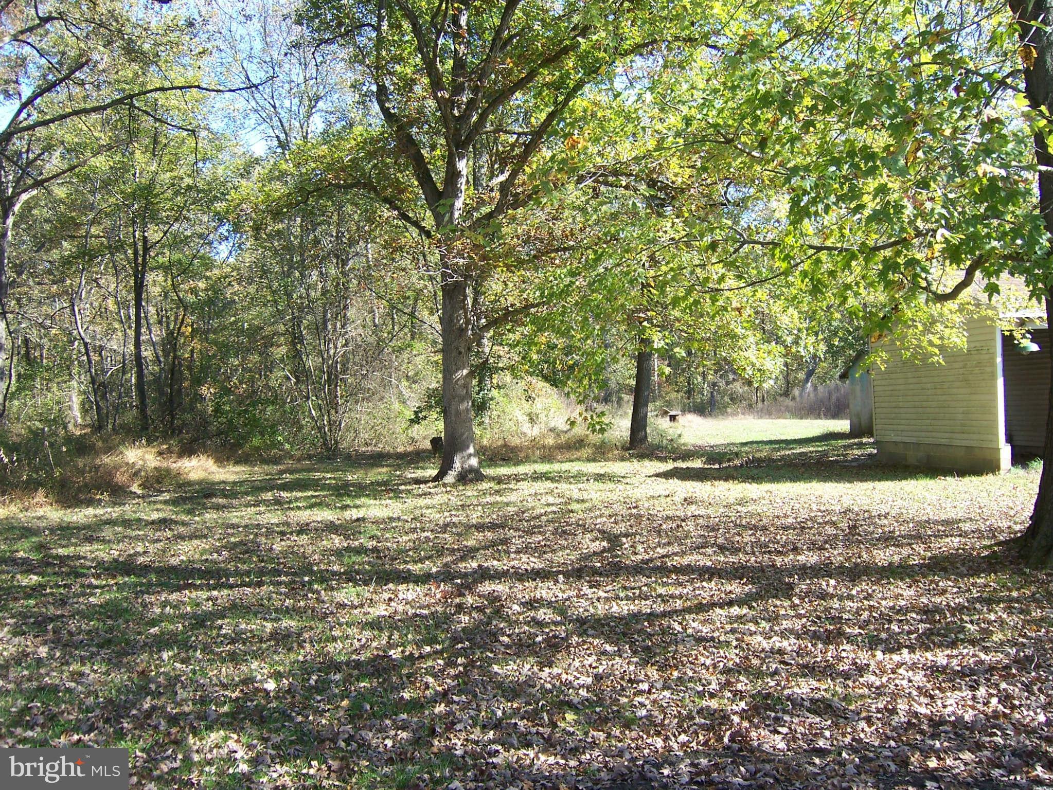 17855 Cool Spring Road Marydel, MD 21649 - Photo 14 of 15 View