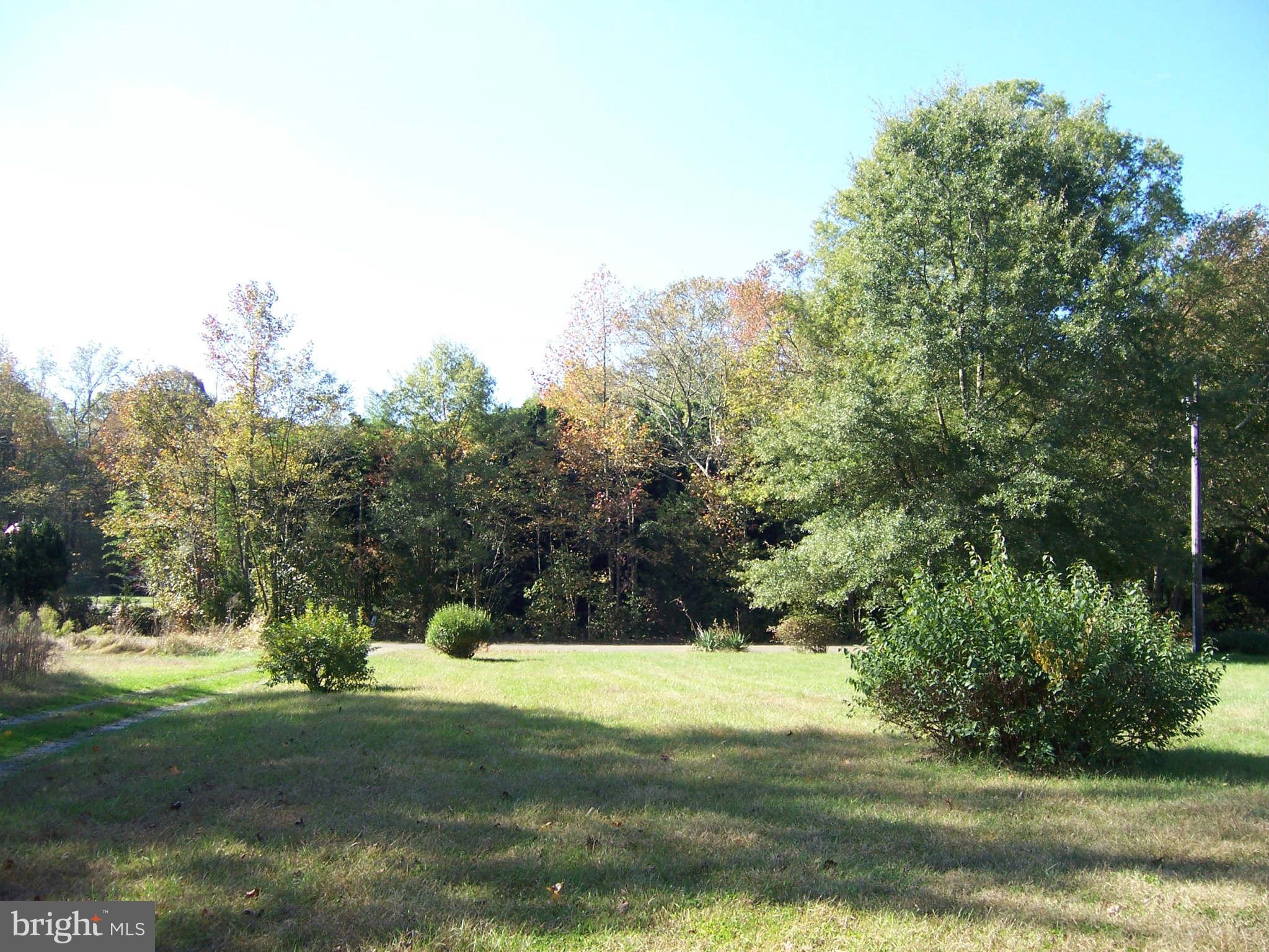17855 Cool Spring Road Marydel, MD 21649 - Photo 5 of 15 View