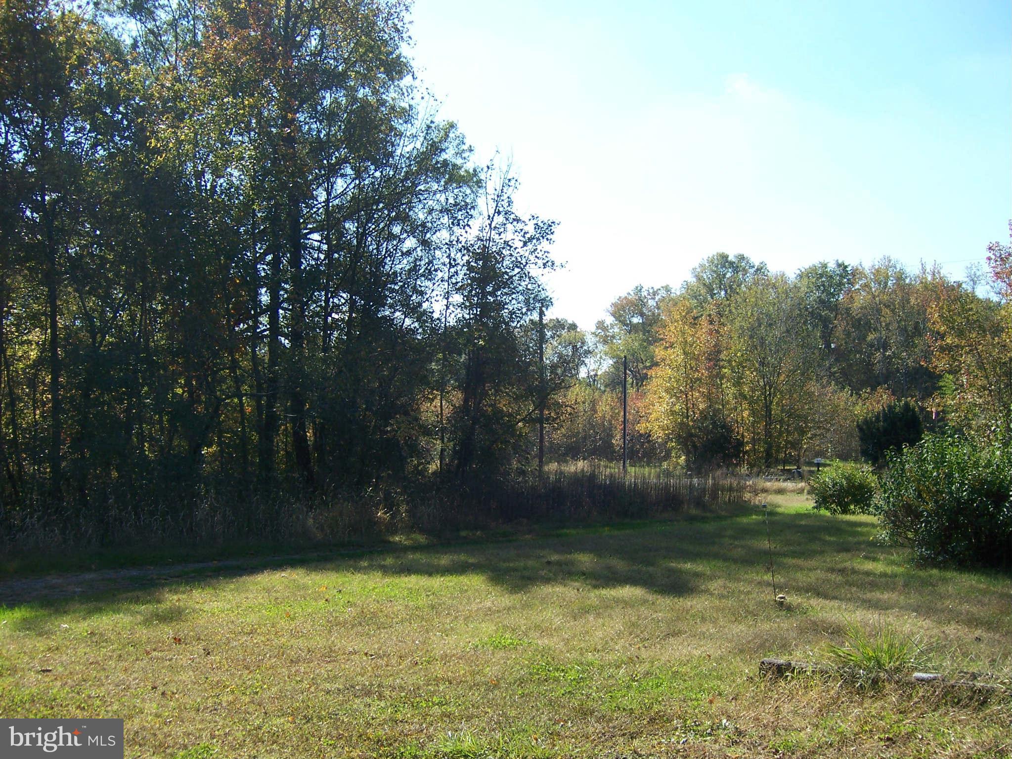 17855 Cool Spring Road Marydel, MD 21649 - Photo 7 of 15 View