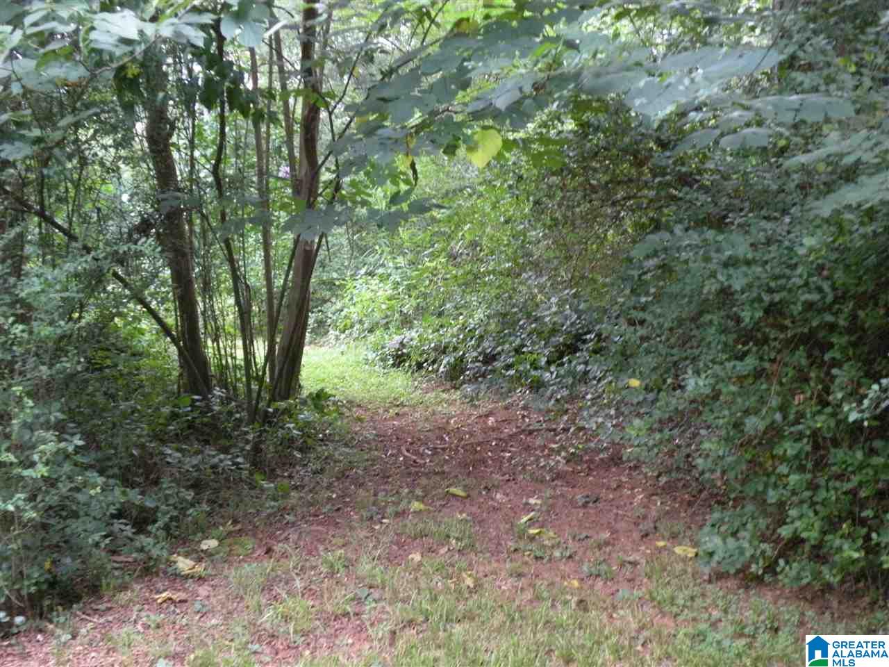 160 Strickland Lane Alpine, AL 35014 - Photo 45 of 50