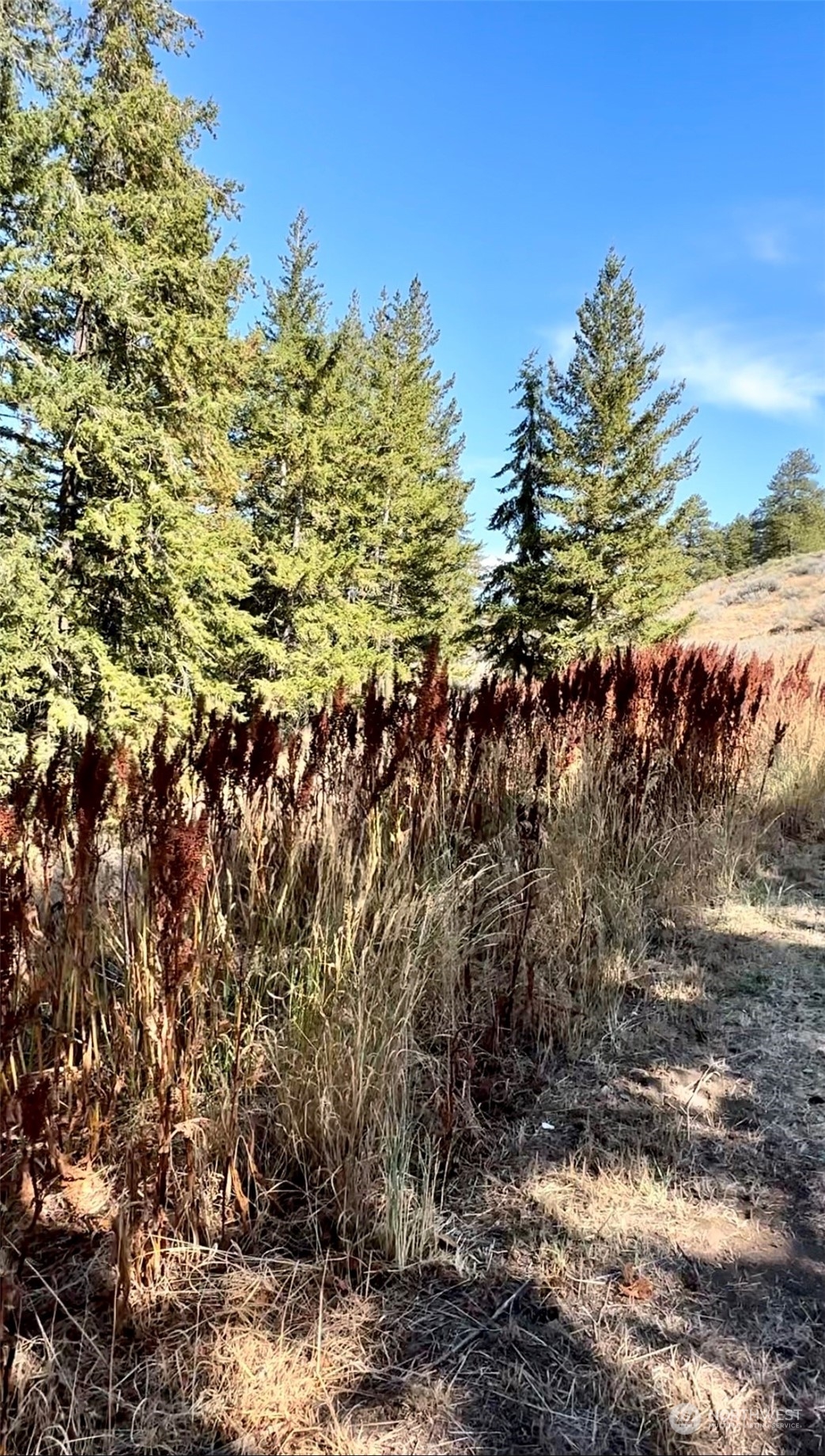 102 Fir Road East Wenatchee, WA 98802 - Photo 10 of 27