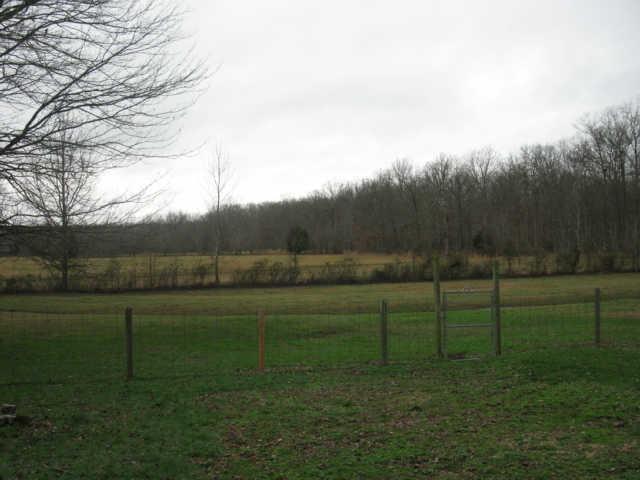 6887 Fredonia Road Manchester, TN 37355 - Photo 3 of 14 Back yard