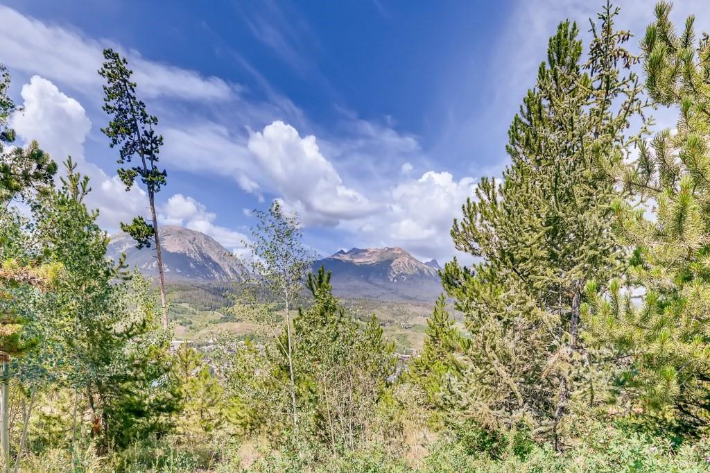 72 Aa Road Silverthorne, CO 80498 - Photo 27 of 28 a picture of flowers