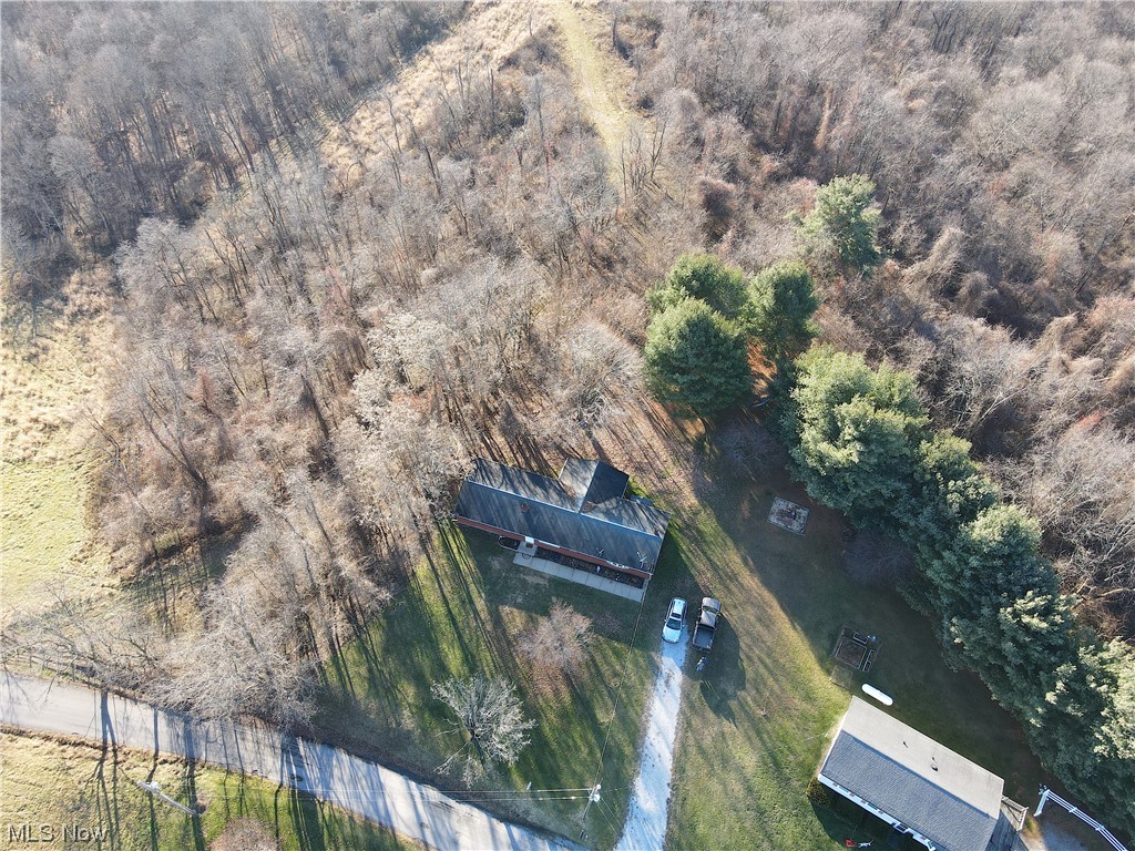 View of bird's eye view