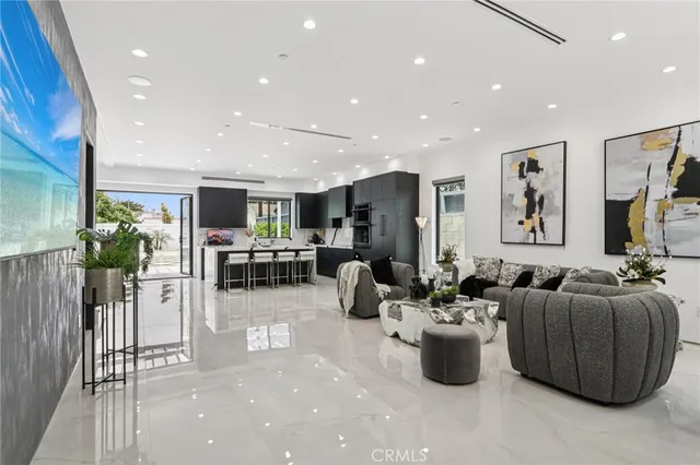 a living room with furniture potted plant with kitchen view