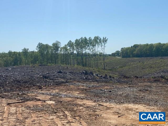 Shores Road Palmyra, VA 22963 - Photo 3 of 7 a view of a park