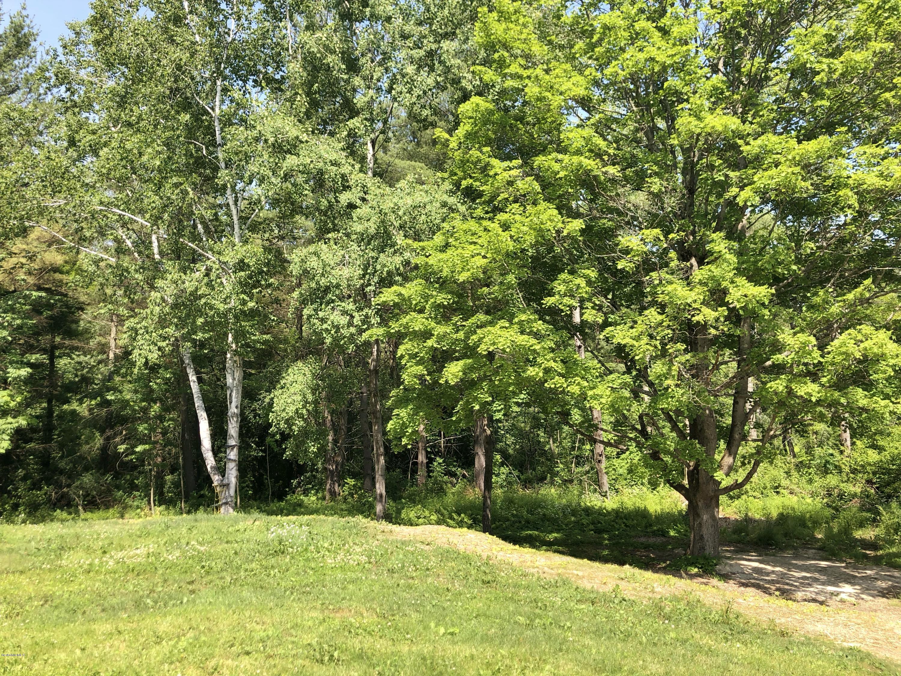 1499 State Road Richmond, MA 01254 - Photo 15 of 25 a big yard with lots of green space and trees