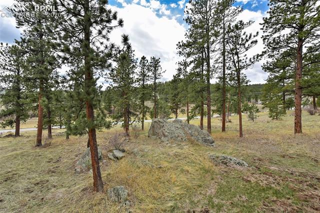 79 Buggy Whip Road Bailey, CO 80421 - Photo 41 of 50 Gallery Image 41