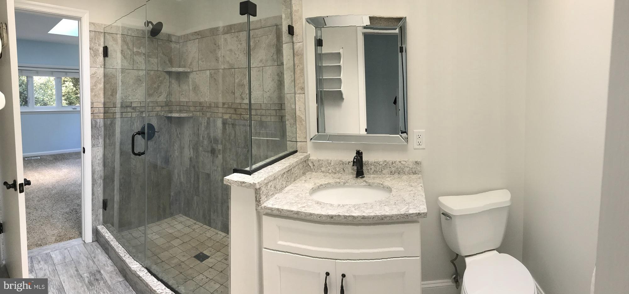 680 Red Cedar Road Annapolis, MD 21409 - Photo 5 of 30 a bathroom with a granite countertop sink toilet and shower