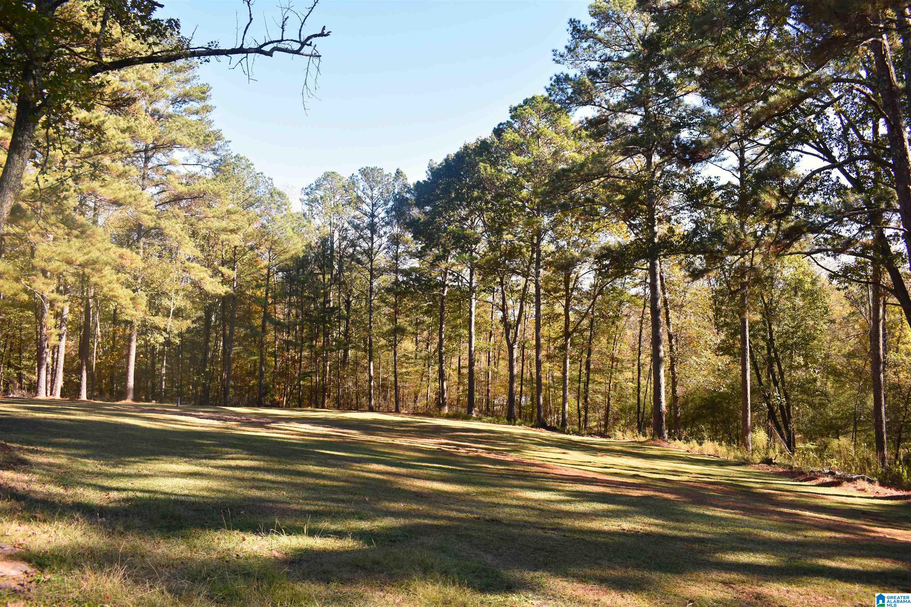 90 Chaley Springs Road Warrior, AL 35180 - Photo 18 of 23