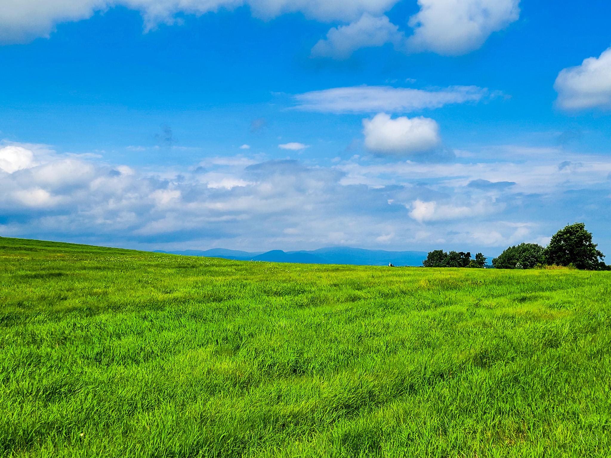1749 Middle Road, Unit 6 Bridport, VT 05734 - Photo 11 of 38