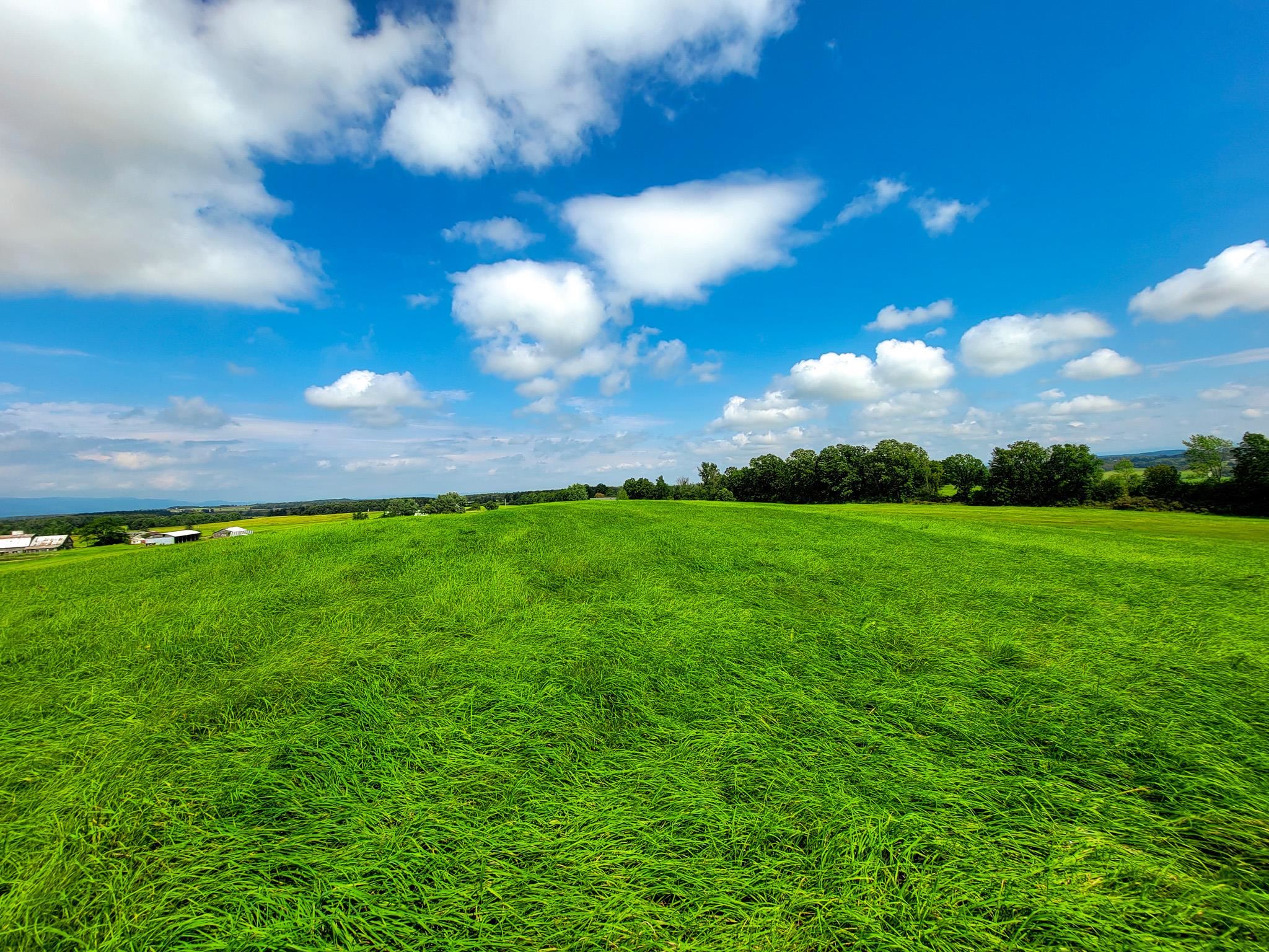 1749 Middle Road, Unit 6 Bridport, VT 05734 - Photo 14 of 38