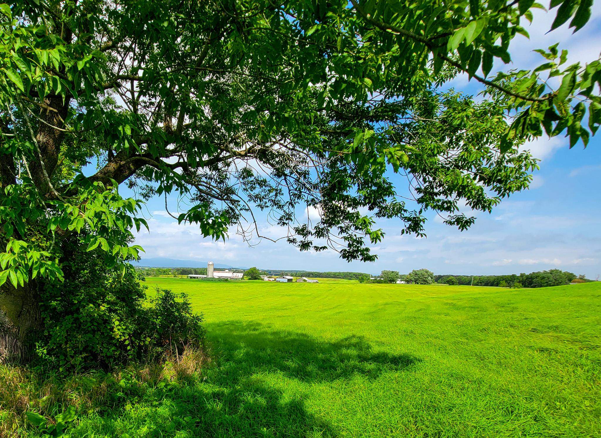1749 Middle Road, Unit 6 Bridport, VT 05734 - Photo 15 of 38