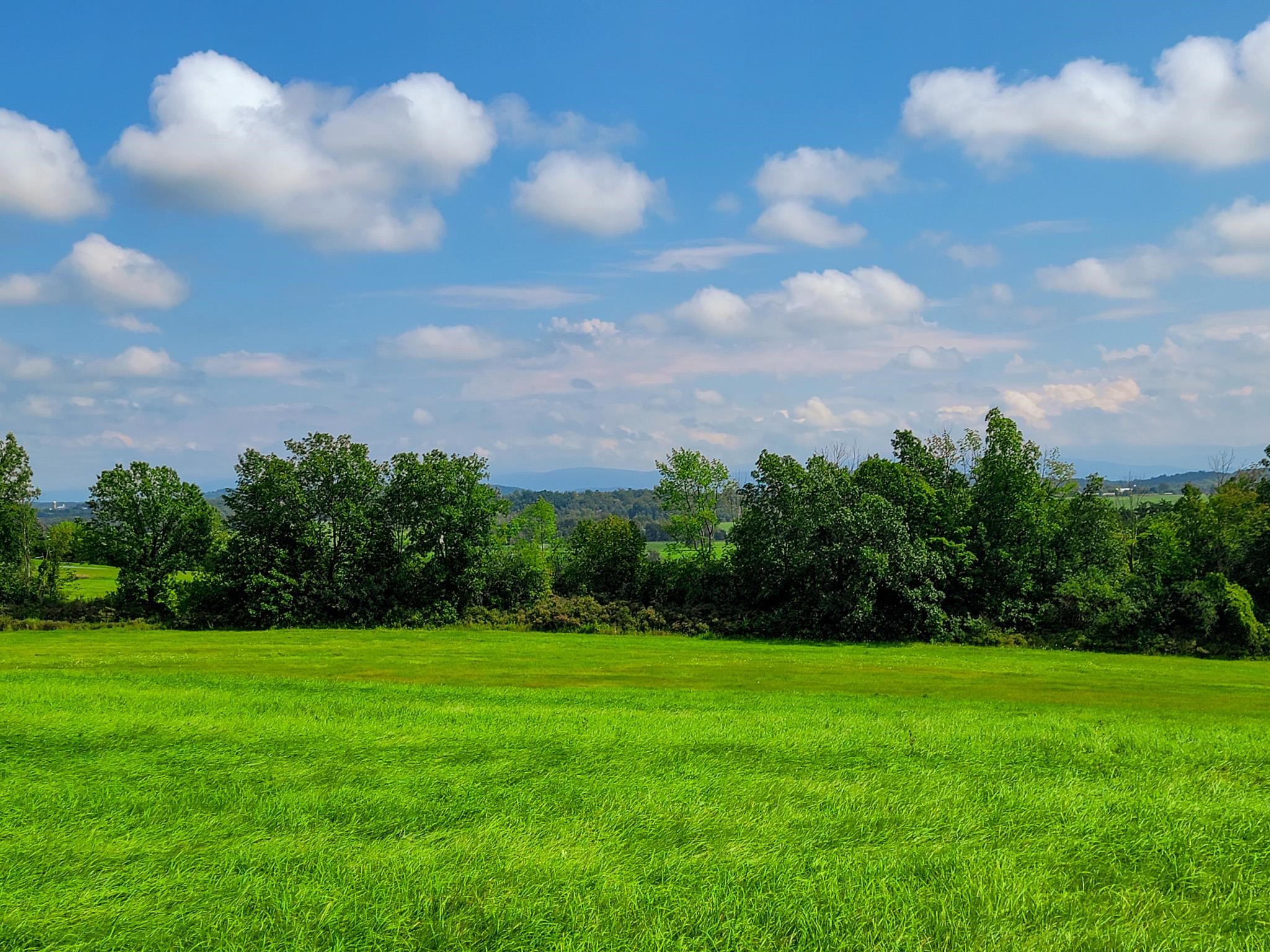 1749 Middle Road, Unit 6 Bridport, VT 05734 - Photo 17 of 38