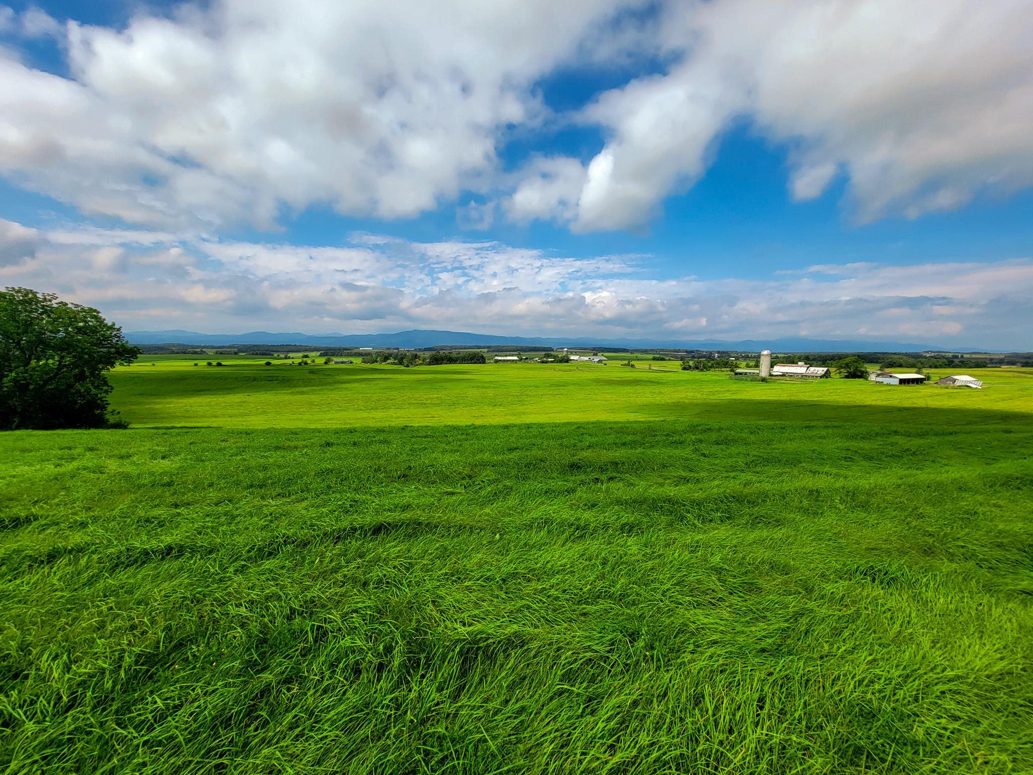 1749 Middle Road, Unit 6 Bridport, VT 05734 - Photo 19 of 38