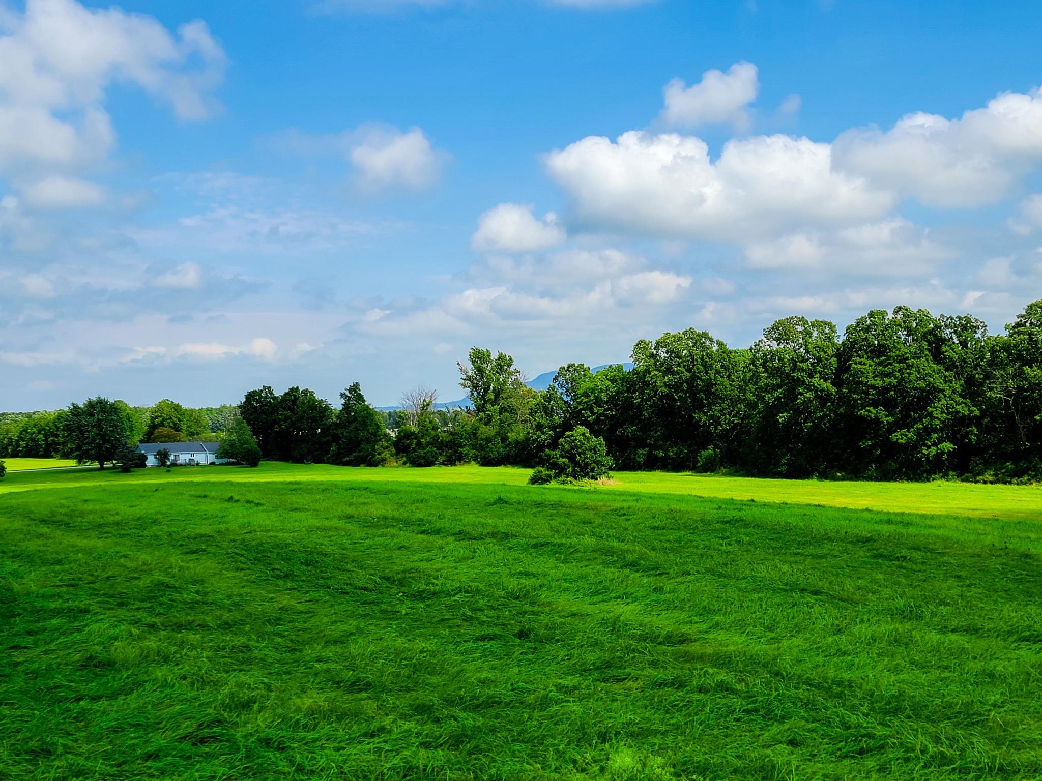 1749 Middle Road, Unit 6 Bridport, VT 05734 - Photo 21 of 38