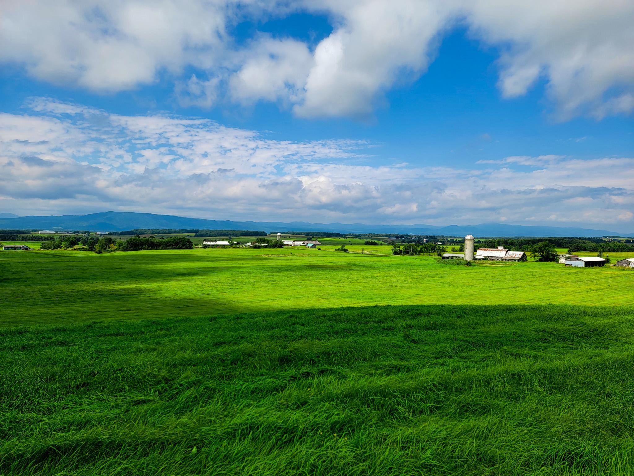 1749 Middle Road, Unit 6 Bridport, VT 05734 - Photo 32 of 38
