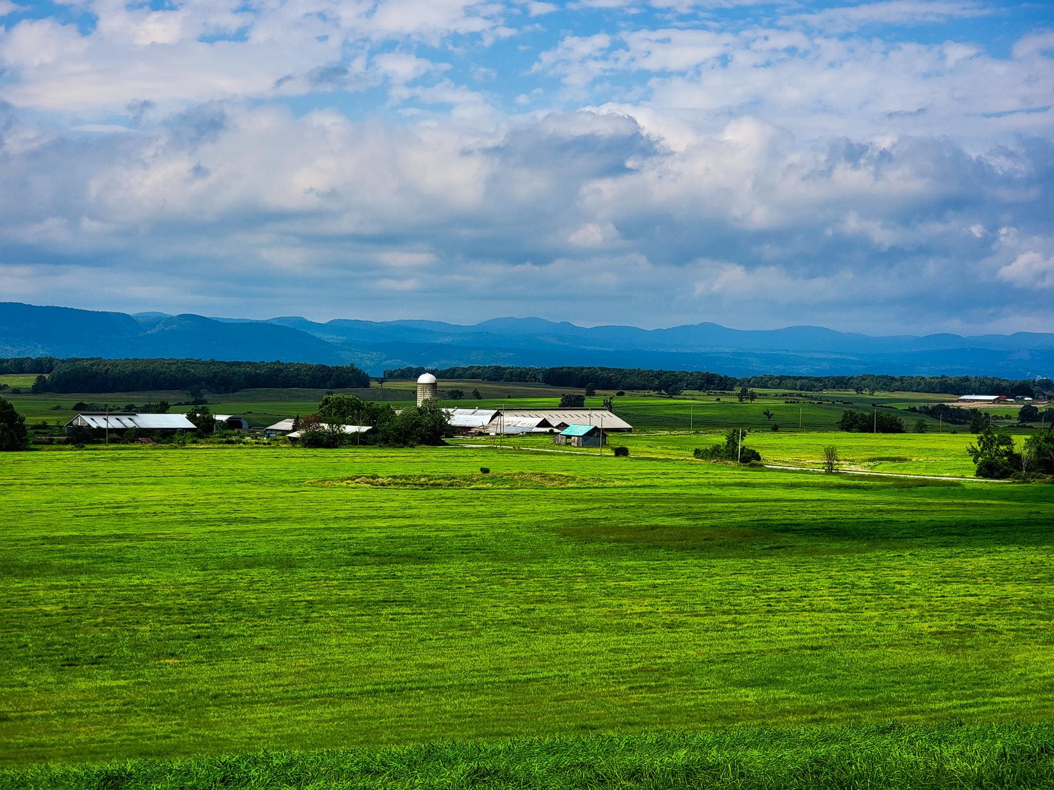 1749 Middle Road, Unit 6 Bridport, VT 05734 - Photo 6 of 38