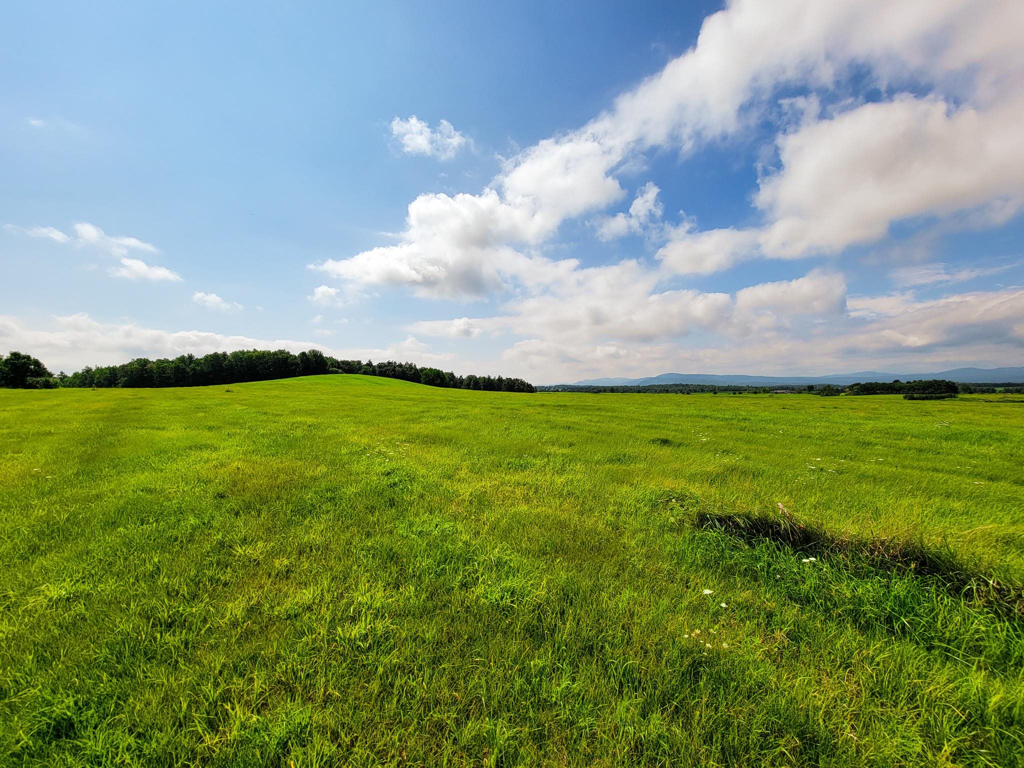 1749 Middle Road, Unit 6 Bridport, VT 05734 - Photo 7 of 38