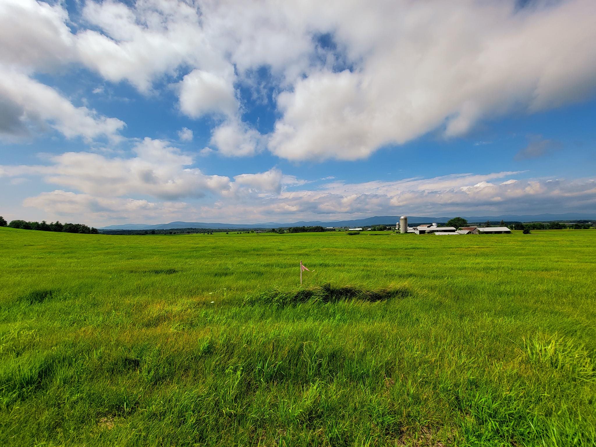 1749 Middle Road, Unit 6 Bridport, VT 05734 - Photo 8 of 38