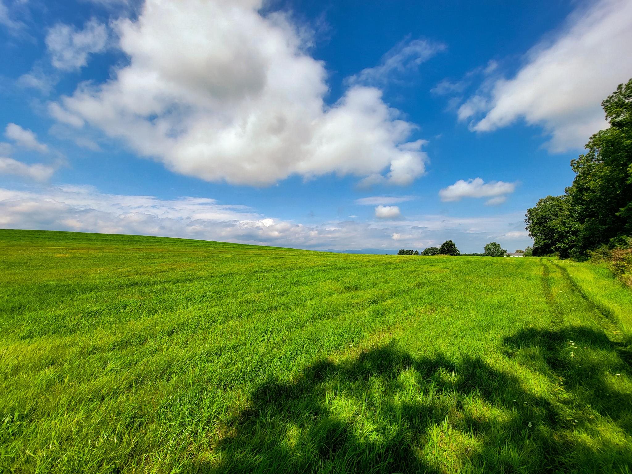 1749 Middle Road, Unit 6 Bridport, VT 05734 - Photo 10 of 38