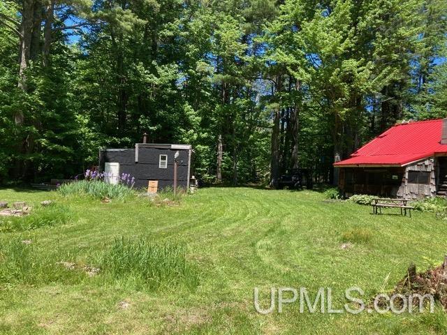 Tbd Tbd Howe Lake Road Deerton, MI 49822 - Photo 4 of 48