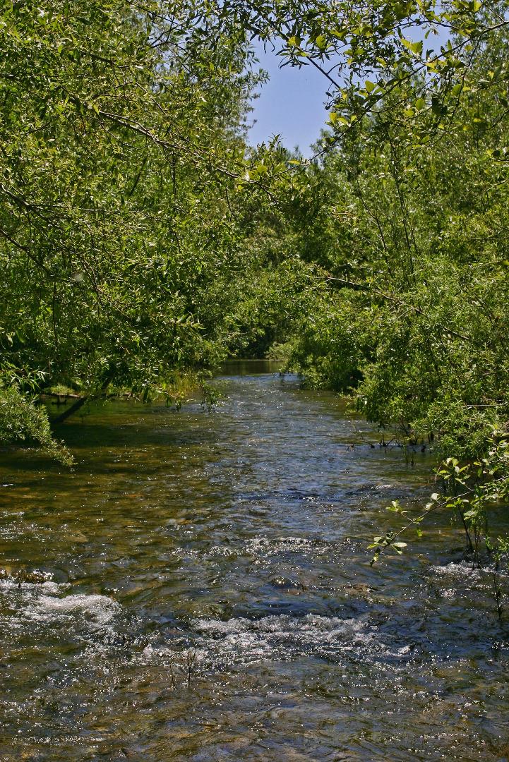 55 Paso Cresta Carmel Valley, CA 93924 - Photo 3 of 26 a view of a lake view