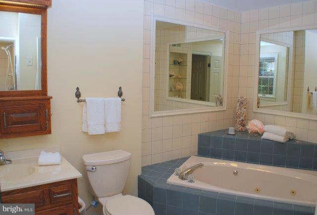 4333 Mountville Road Jefferson, MD 21755 - Photo 18 of 30 Bath (Master)