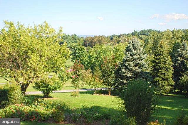 4333 Mountville Road Jefferson, MD 21755 - Photo 29 of 30 View