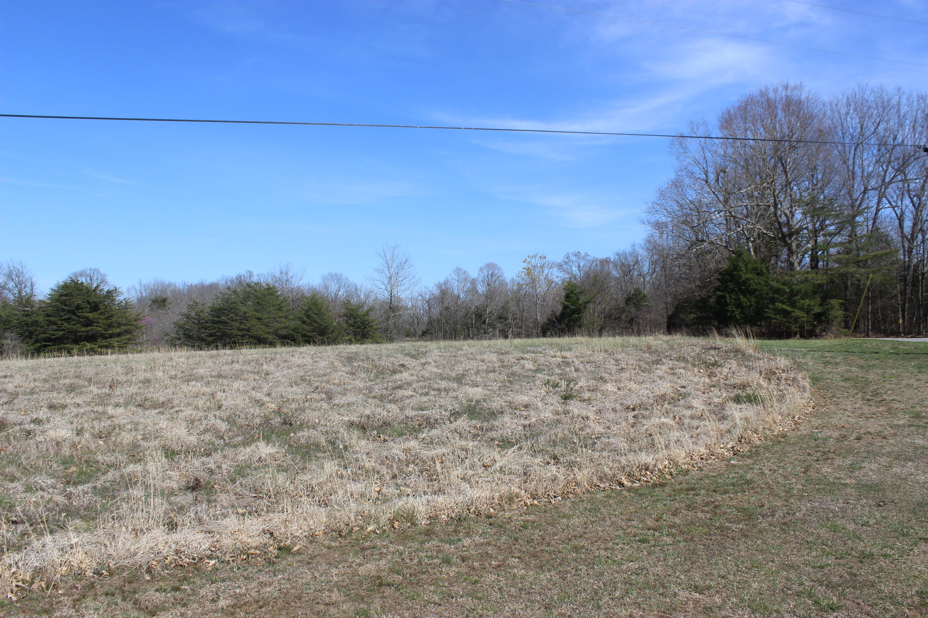 0 Edwards Road Princeton, KY 42445 - Photo 33 of 33 IMG_7680