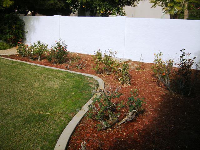 202 East Carver Road Tempe, AZ 85284 - Photo 37 of 39 DSCF1120