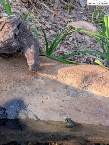 $290,000 | 164 Glade Creek Road, Sparta, NC 28675