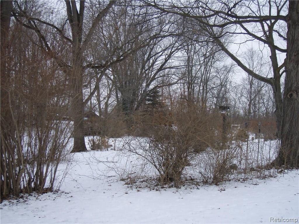 11754 Merrill Road Whitmore Lake, MI 48189 - Photo 14 of 42 58.JPG