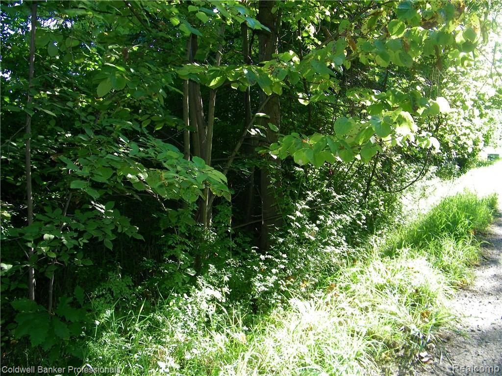 Par 1 Dodds Road North Branch, MI 48461 - Photo 3 of 7