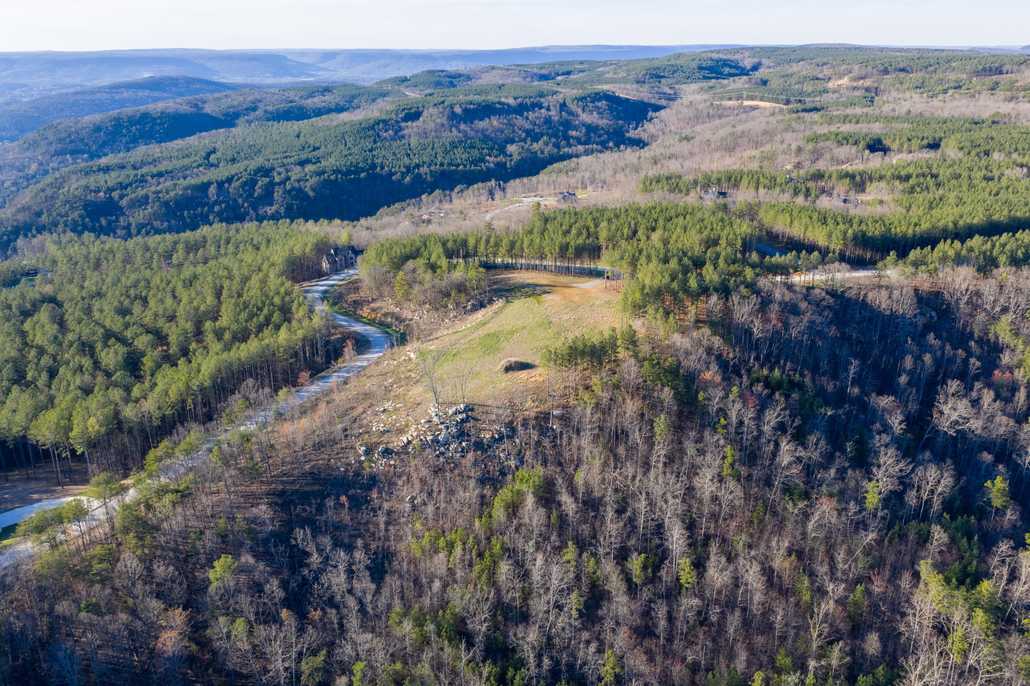 0 Split Rail Way Whiteside, TN 37396 - Photo 11 of 15 a view of a forest with a forest