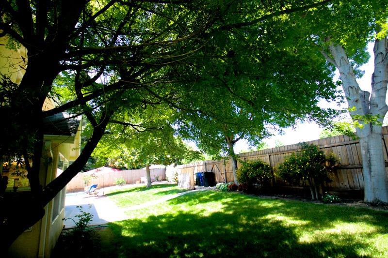 1396 West Sequoia Circle Reedley, CA 93654 - Photo 56 of 57 Gallery Image 56