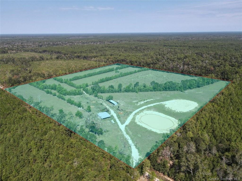 Tbd Ward Line Road Kinder, LA 70648 - Photo 2 of 14