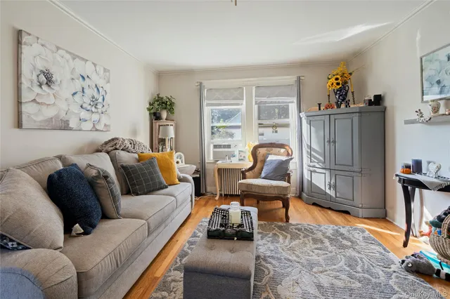 a living room with furniture a rug and a window