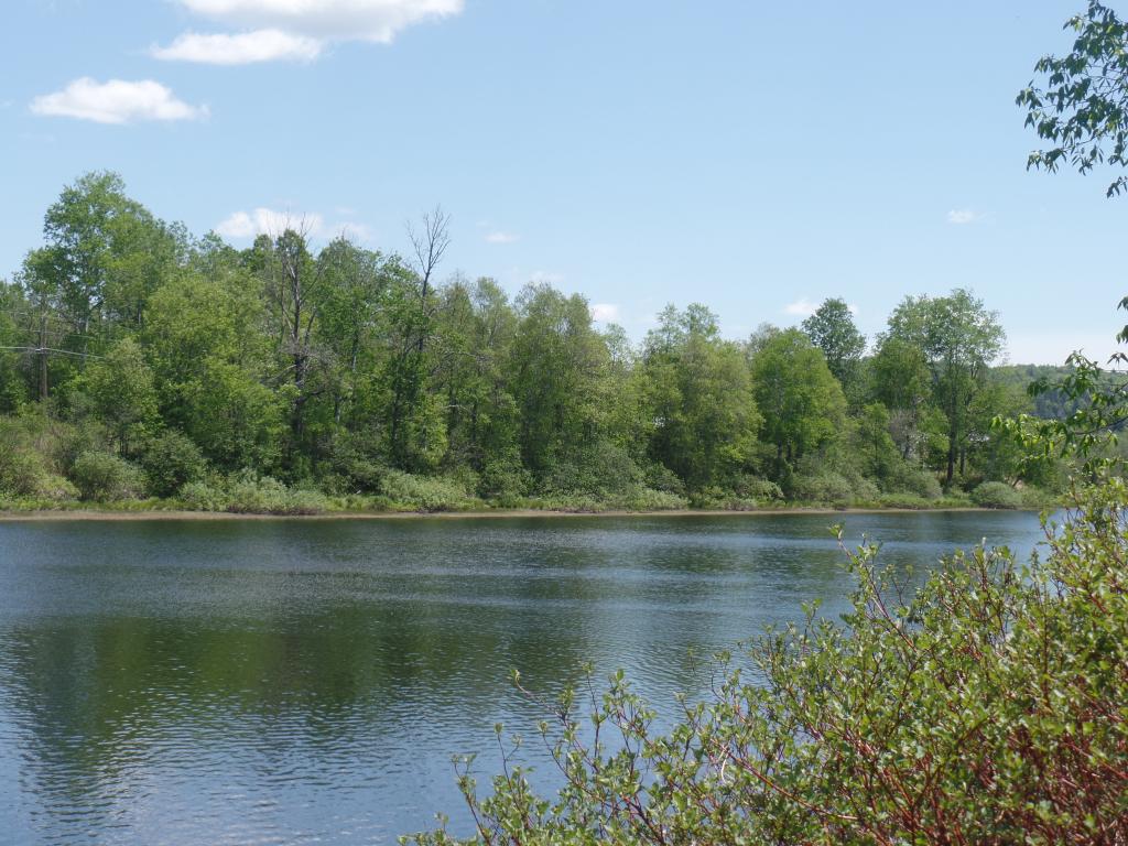 Lot # Milan Road Milan, NH 03588 - Photo 4 of 9