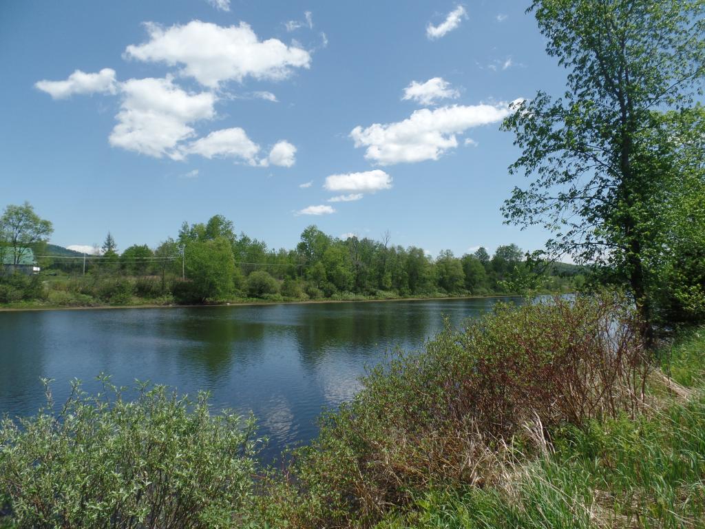 Lot # Milan Road Milan, NH 03588 - Photo 6 of 9