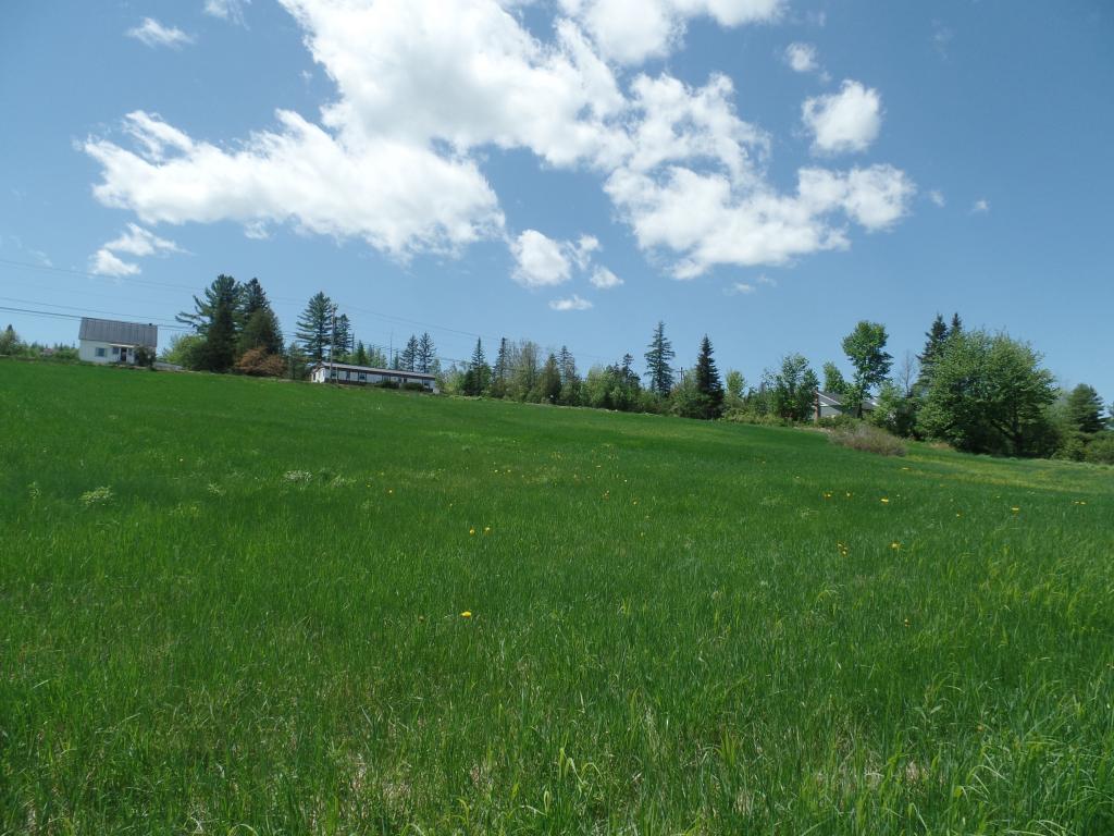 Lot # Milan Road Milan, NH 03588 - Photo 7 of 9