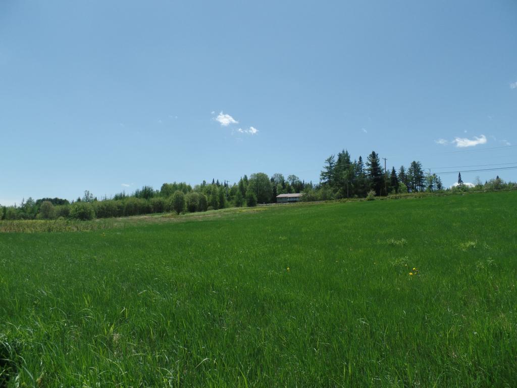 Lot # Milan Road Milan, NH 03588 - Photo 8 of 9