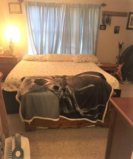 685 Golden View Road Glade Hill, VA 24092 - Photo 15 of 18 Master Bedroom