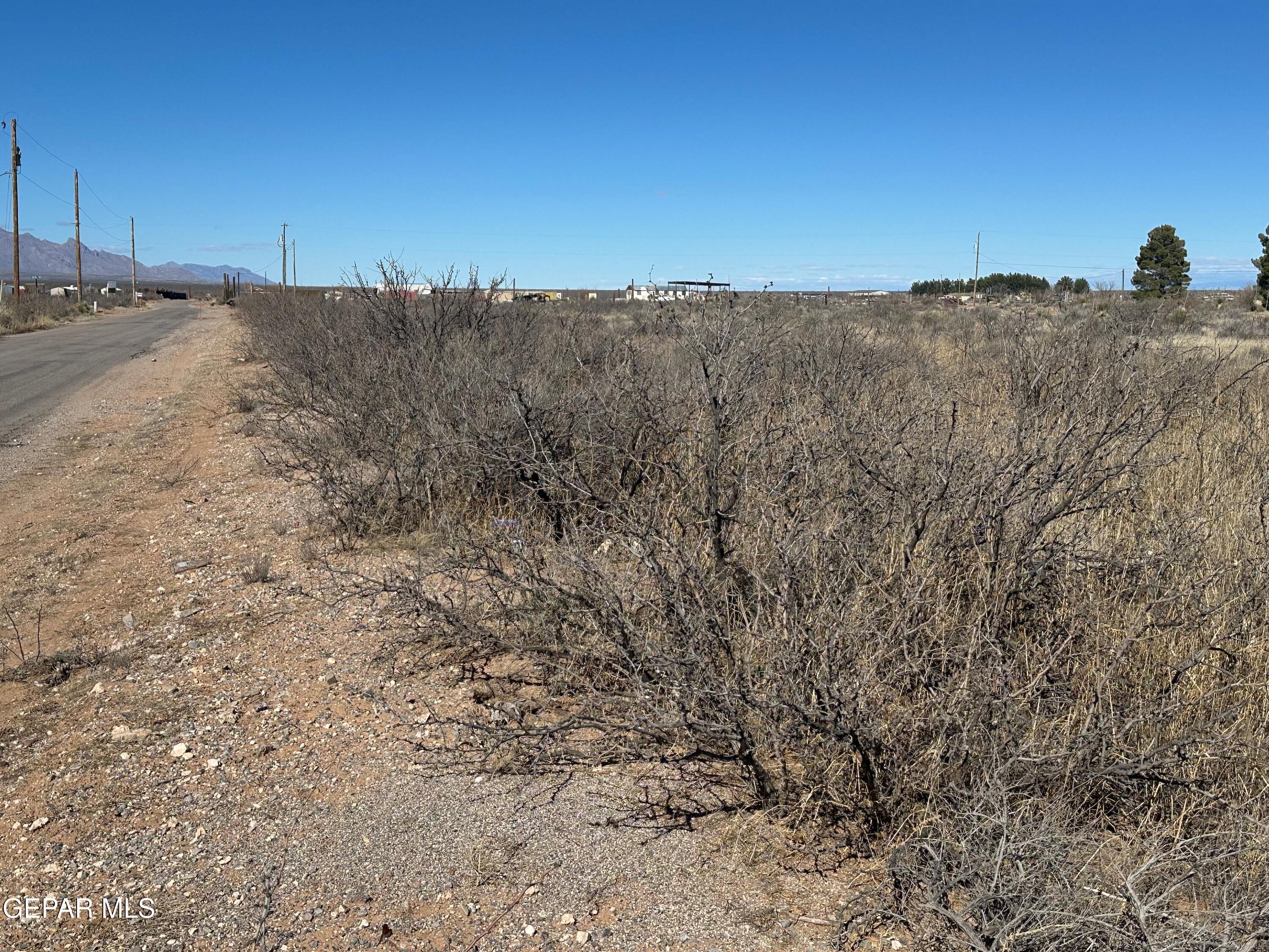 1052 Shiprock Road Chaparral, NM 88081 - Photo 4 of 6 a view of a dry yard with trees