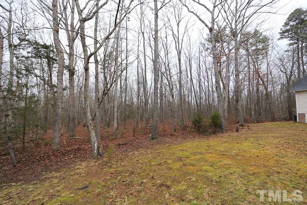 657 Thunder Road Rougemont, NC 27572 - Photo 28 of 29 a backyard of a house with lots of green space