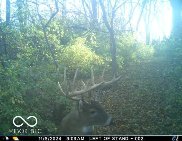 $550,000 | 9168 Highway 9, Flat Rock, IN 47234