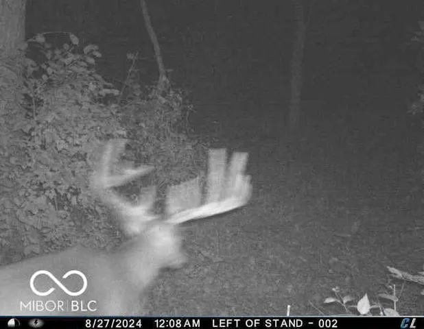 $550,000 | 9168 Highway 9, Flat Rock, IN 47234