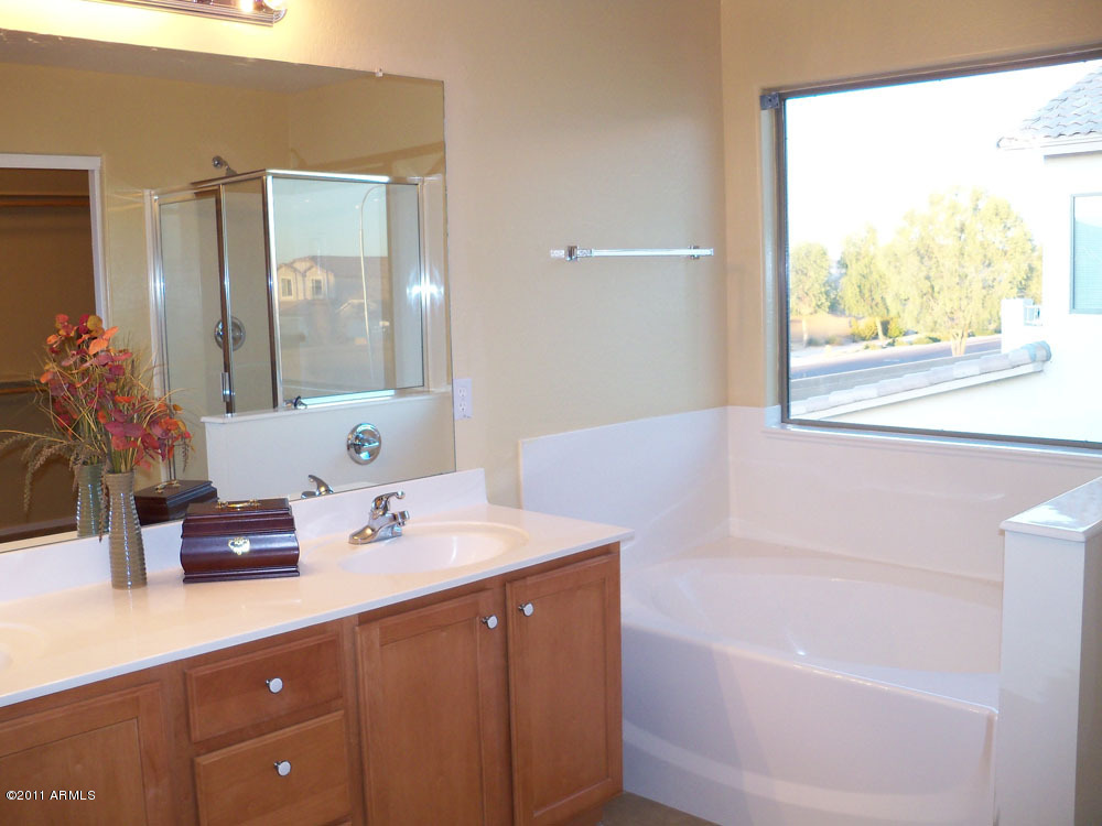 4418 West Darrel Road Laveen, AZ 85339 - Photo 13 of 15 Master Bathroom