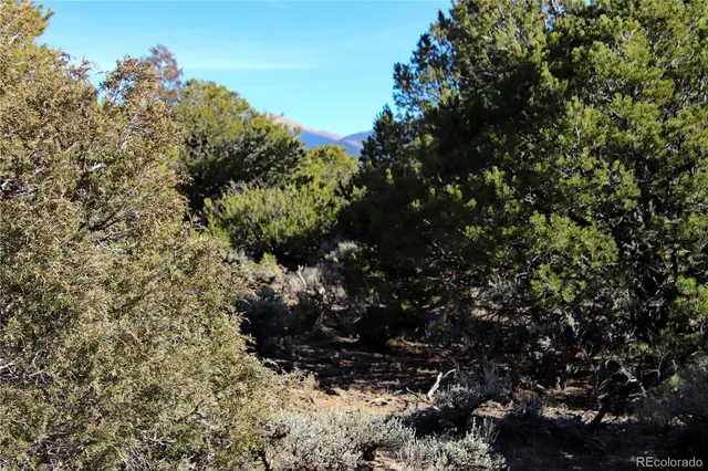 $19,400 | Lot 67 Alta Mesa Drive, San Luis, CO 81152